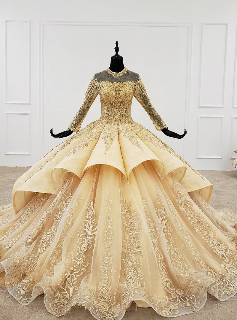 Gold Ball Gown Tulle Long Sleeve Appliques Backless Wedding Dress