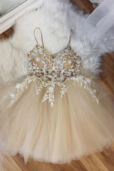 Evening Dress Princess, Champagne Spaghetti Lace Short Prom Dresses, A-Line Party Dresses