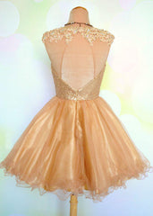 Cute Dress, Cap Sleeve Jewel Appliques Sequins Sheer A Line Gold Organza Backless Homecoming Dresses