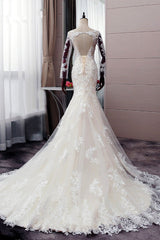 Wedding Dresses No Sleeves, Autumn Long Sleevess Mermaid Lace appliques Ivory Wedding Dress