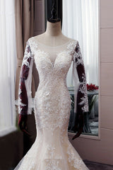 Wedding Dresses Elegent, Autumn Long Sleevess Mermaid Lace appliques Ivory Wedding Dress