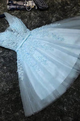 Prom Dresses Blush, Lovely Blue Tulle V Neckline Short Party Dress, Tulle With Lace Homecoming Dress