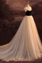 Formal Dresses Over 59, Elegant Tulle Long A-Line Prom Dress, Evening Party Dress