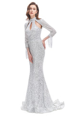 Evening Dresses Dresses, Long Sleeve Mermaid Prom Dresses Silver Sequins Trumpet