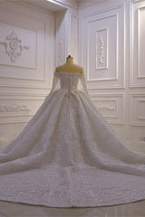 Wedding Dress Pricing, Luxurious Ball Gown Long Sleevess 3D Lace Sweetheart Long Wedding Dresses