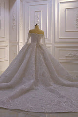 Wedding Dress Stores Near Me, Luxurious Ball Gown Long Sleevess 3D Lace Sweetheart Long Wedding Dresses