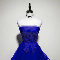 Party Dress New Look, Royal Blue Tulle with Lace Applique High Low Party Dress, Blue Homecoming Dress